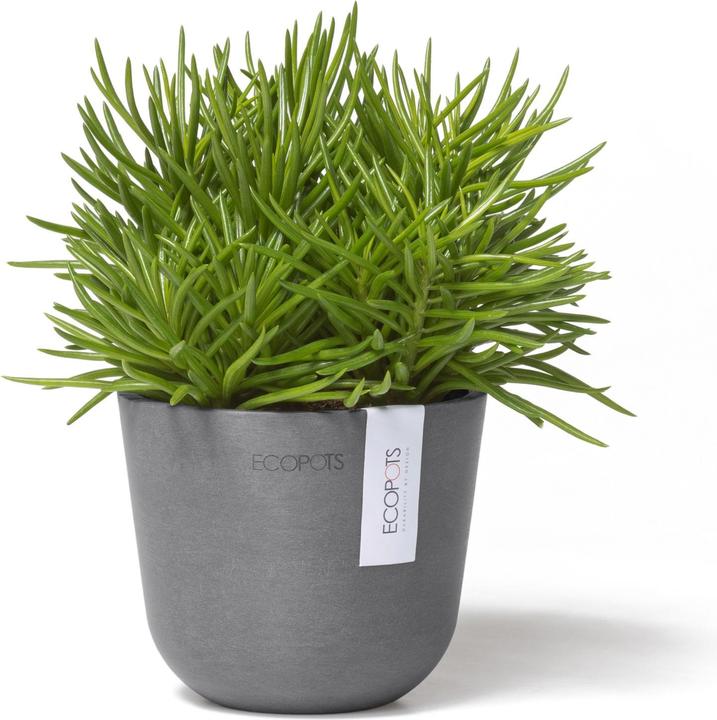 Produktbild Ecopots Oslo Mini (19 cm)