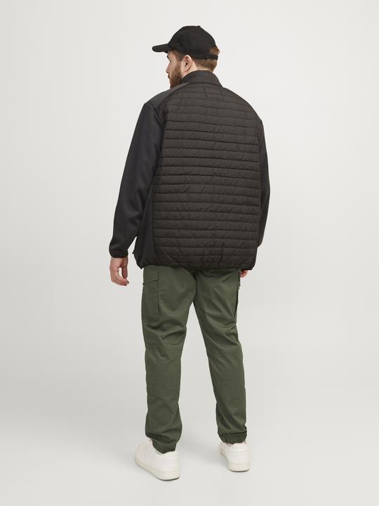 Image du produit Jack & Jones Paul Flake AKM 542 Pantalon Cargo Plus Size (46)