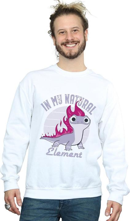 Actual product image Disney Mens Frozen 2 Salamander Bruni Element Sweatshirt (XXL)