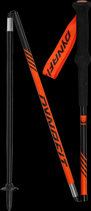 Produktbild Dynafit Alpine Stock (110 cm)