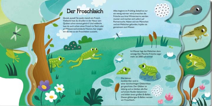 Actual product image From little tadpole to frog (German)
