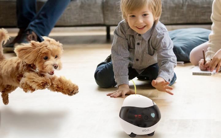 Actual product image Enabot EBO Air (1920 x 1080 Pixels)