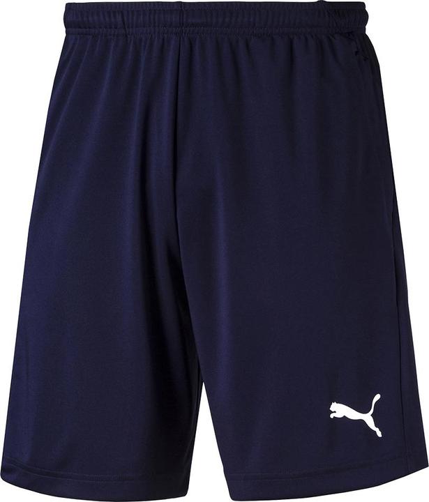 Puma Liga Training Shorts (XL)