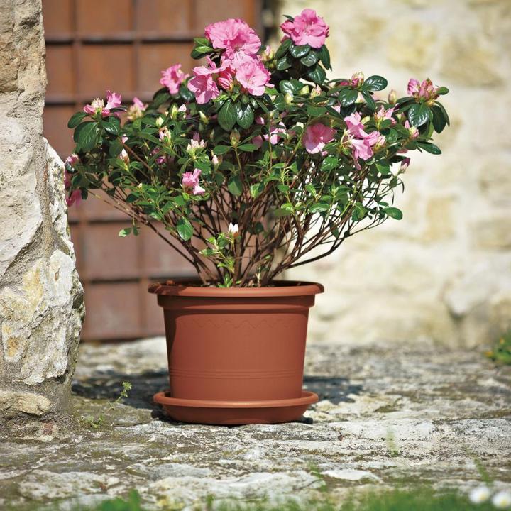 Actual product image Euro3plast Planter (25 cm)