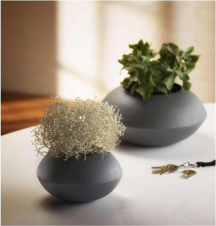 Immagine prodotto Philippi 257008 - Vaso di leccio L (1 x, 27 x 27 x 13 cm)