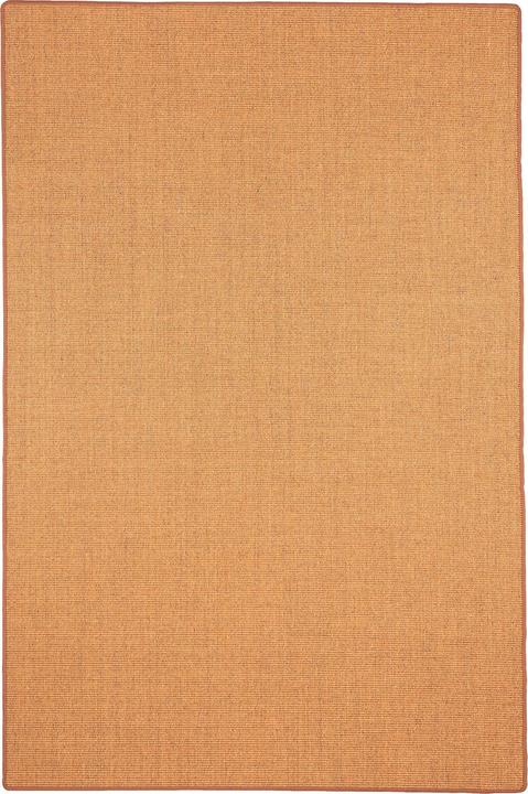 Image du produit Snapstyle Tapis sisal classique (200 x 300 cm)