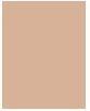 Actual product image Sisley Phyto Complexion Nude No 2C (2C Soft Beige)