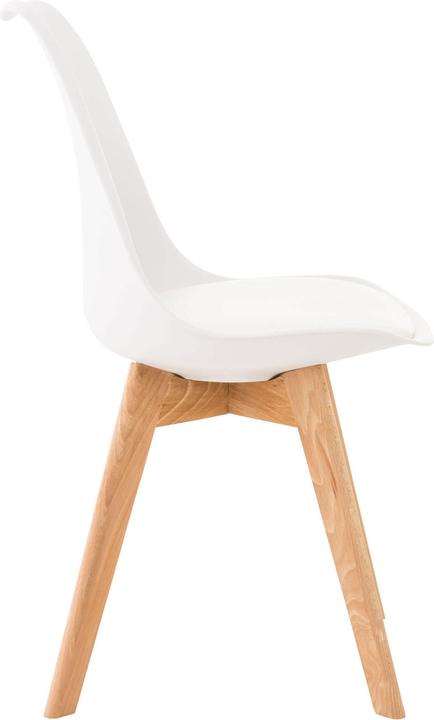 Actual product image CLP Linares