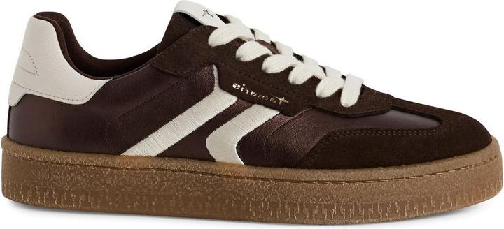 Brown Metallic