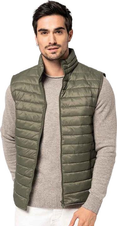 Actual product image Native Spirit Mens Recycled Lightweight Body Warmer (3XL)