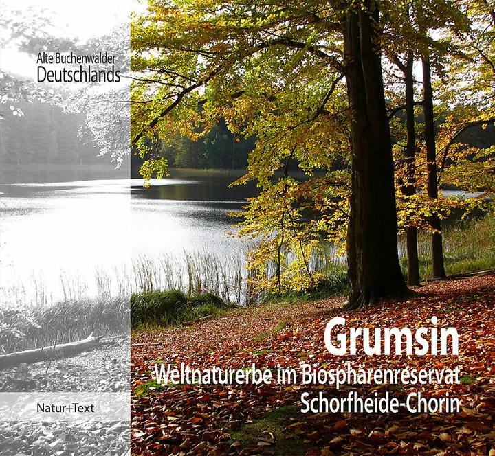 Actual product image Grumsin (German, Brandenburg State Office for the Environment, Beate Blahy, Martin Flade, 2017)