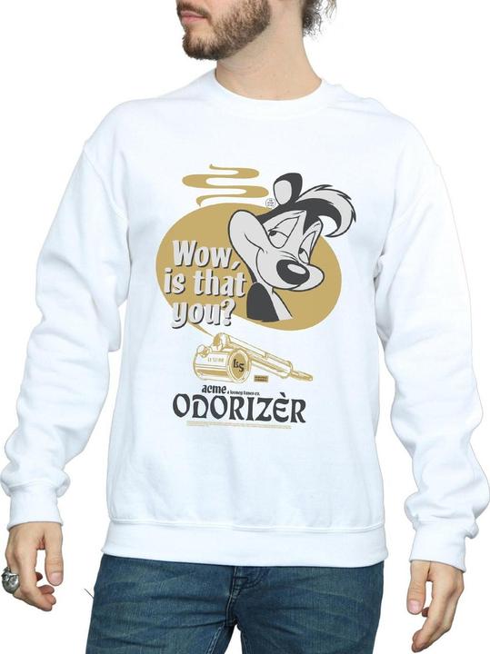 Produktbild Looney Tunes Odorizer Sweatshirt (L)