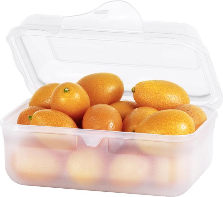 Actual product image Rotho Fun