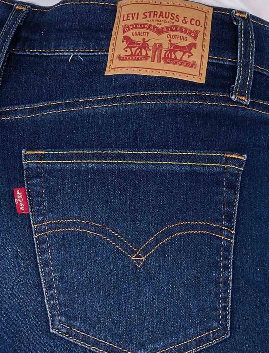 Produktbild Levis 10021733 (W31/L32)