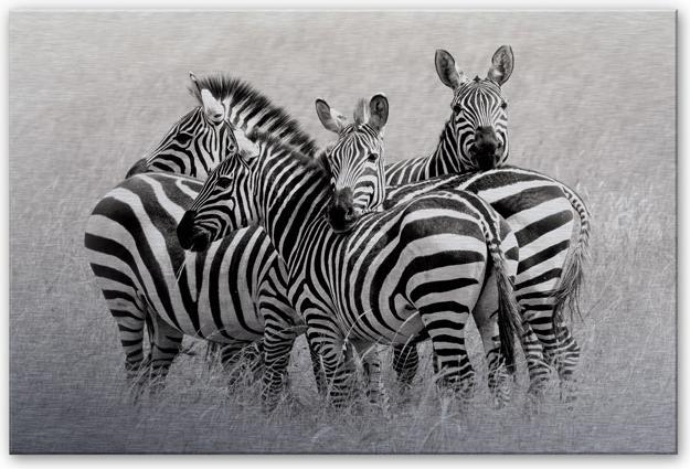 Produktbild Trenddeko Trubitsyn - Zebras in der Savanne (100 x 70 cm)