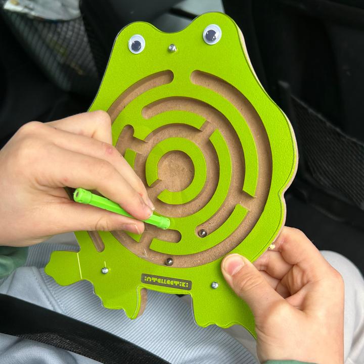 Actual product image Intellectiki Magnetic Labyrinth Snail