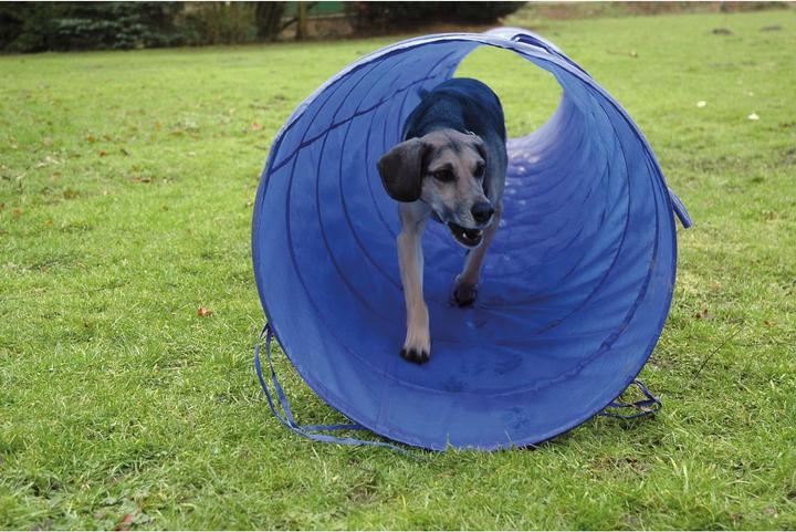 Actual product image Dobar Agility tunnel (Agility)