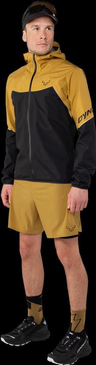 Produktbild Dynafit ALPINE PRO 2/1 SHORTS, Herren (L)