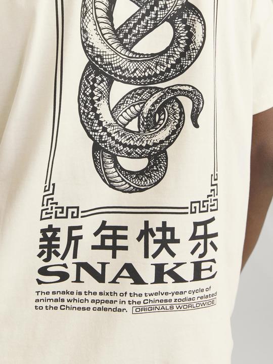 Actual product image Jack & Jones Jorsnake Tee Ss Crew Neck Tg Ln (XXL)