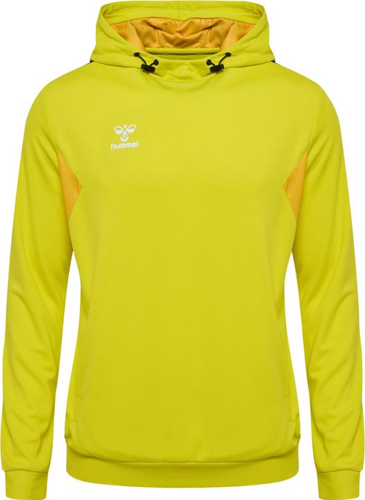 Actual product image hummel Hmlauthentic Pl Hoodie (L)