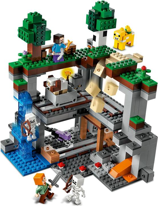 Actual product image LEGO The first adventure (21169, LEGO Minecraft)