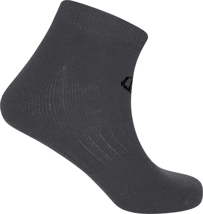 Actual product image Dare2b Essentials ankle socks (2-pack) (35.5 - 38)