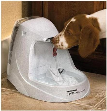 Image du produit PetSafe Platine (5 l)
