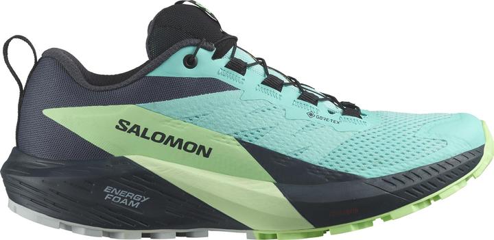 Produktbild Salomon Sense Ride 5 GTX W 472160 40 2/3 (41)