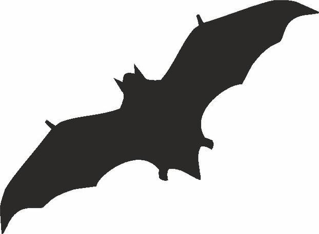 Image du produit Eulenspiegel Chauve-souris