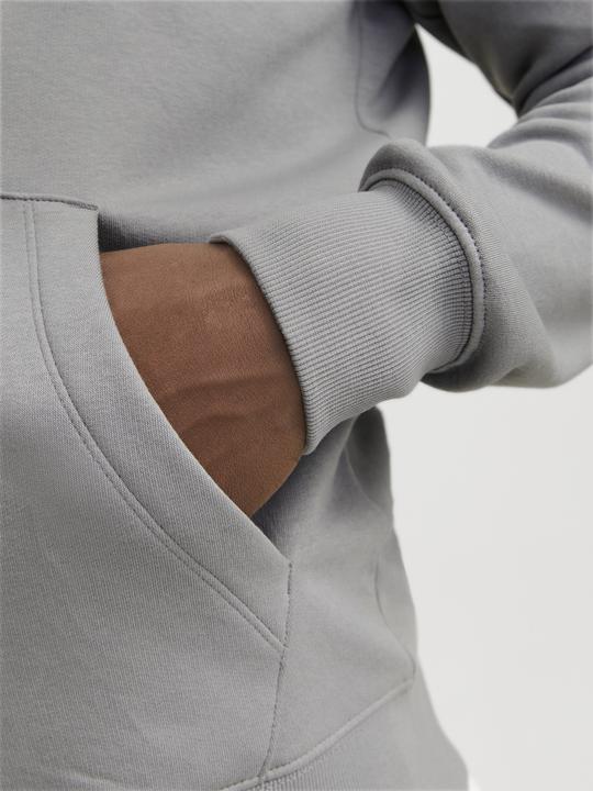 Image du produit Jack & Jones Jjestar Basic Sweat Zip Hood Noos (L)