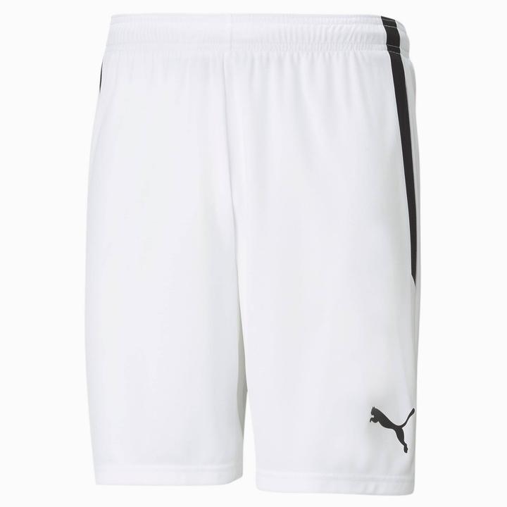 Image du produit Puma teamLIGA Short (XS)