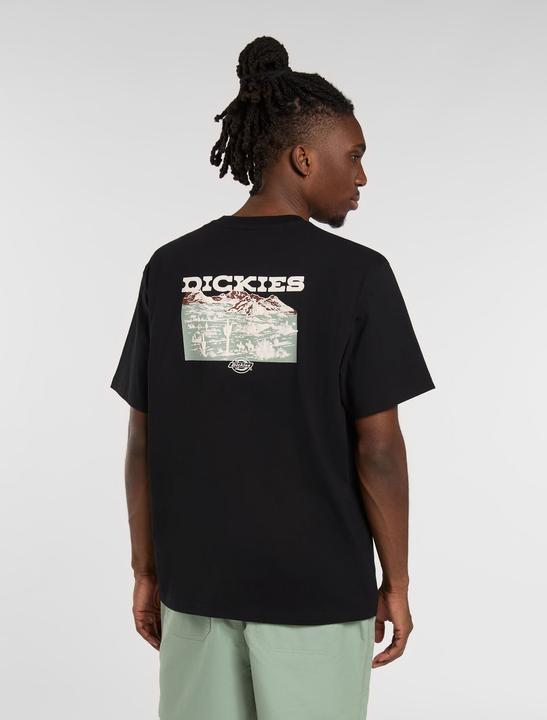 Actual product image Dickies Landascape Ss Tee Black (M)