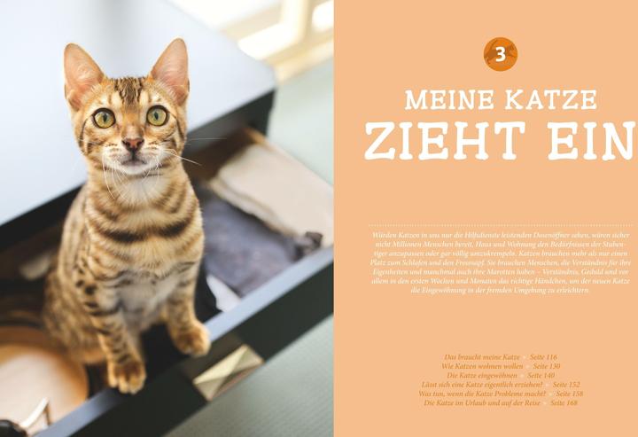 Actual product image Katzen (German, Gerd Ludwig, 2013)