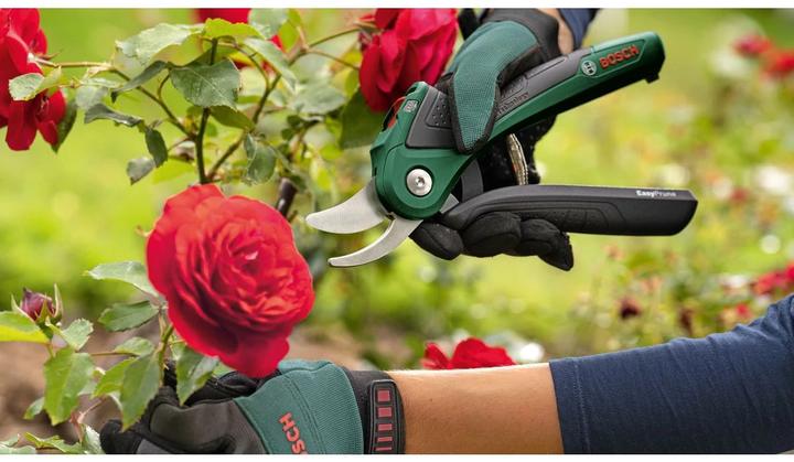 Actual product image Bosch Home & Garden EasyPrune