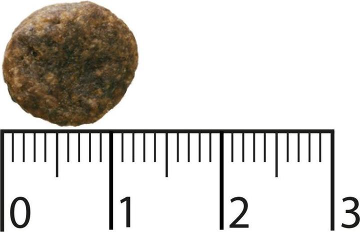 Immagine prodotto Bozita Purely Adult cibo secco senza cereali a base di agnello per cani 11 kg (Adulto, 1 pz., 11000 g)