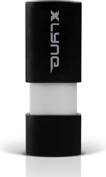 Productafbeelding Xlyne Golf (256 GB, USB-A)