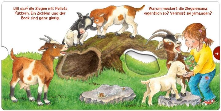 Actual product image Mein erstes Hör mal (Soundbuch ab 1 Jahr): Die Tierkinder (German, Kyrima Trapp, 2021)
