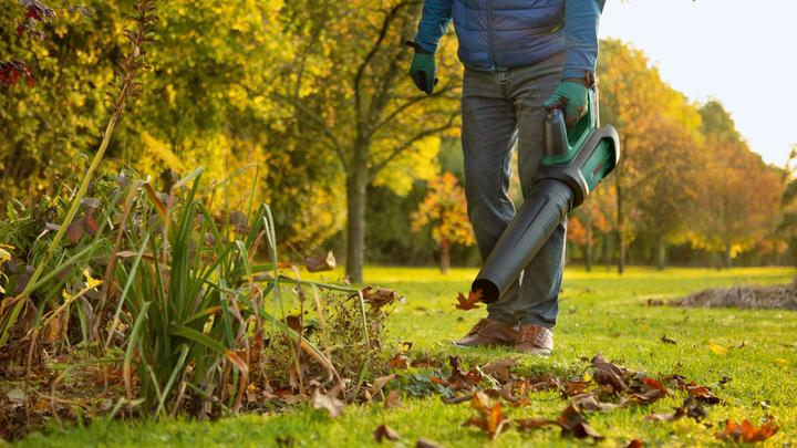 Actual product image Bosch Home & Garden AdvancedLeafBlower 36V-750 (Rechargeable battery operated, Leaf blower)