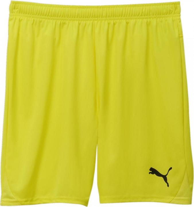 Produktbild Puma teamGOAL Shorts (L)