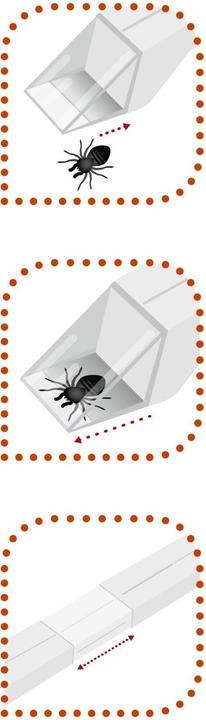 Produktbild Windhager Insektenfänger