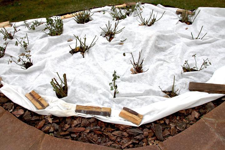 Immagine prodotto Aquagart 40m² Geotextilvlies Gartenvlies Unkrautvlies Teichvlies 250g 1,6m