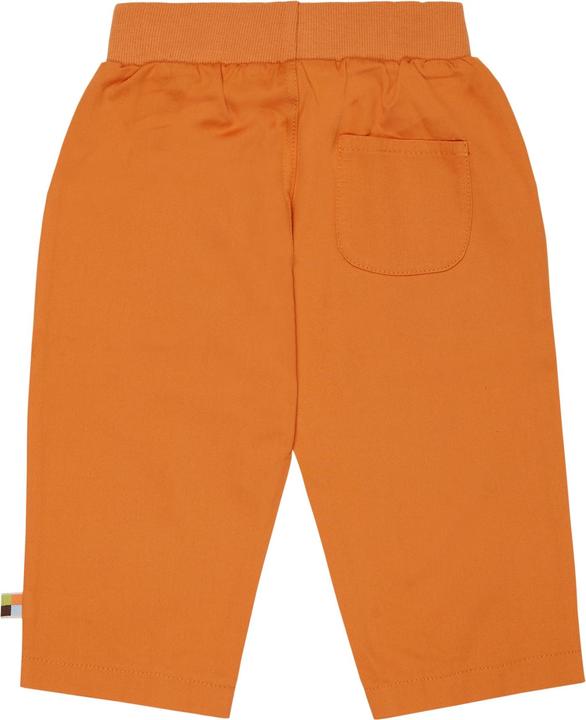Actual product image loud + proud Pants twill (68)