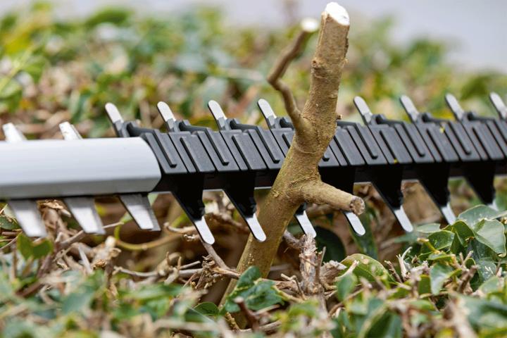 Actual product image Bosch Professional GHE 18V-60 Professional (Cordless hedgecutters)