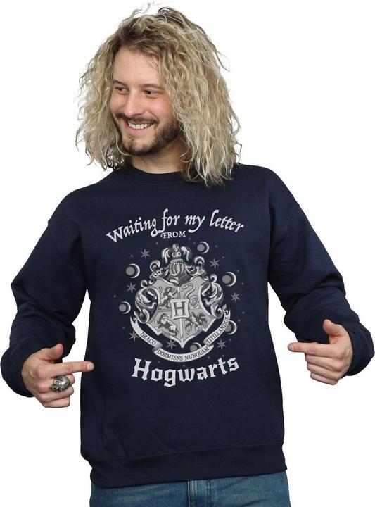 Produktbild Hogwarts Waiting For My Letter Sweatshirt (L)