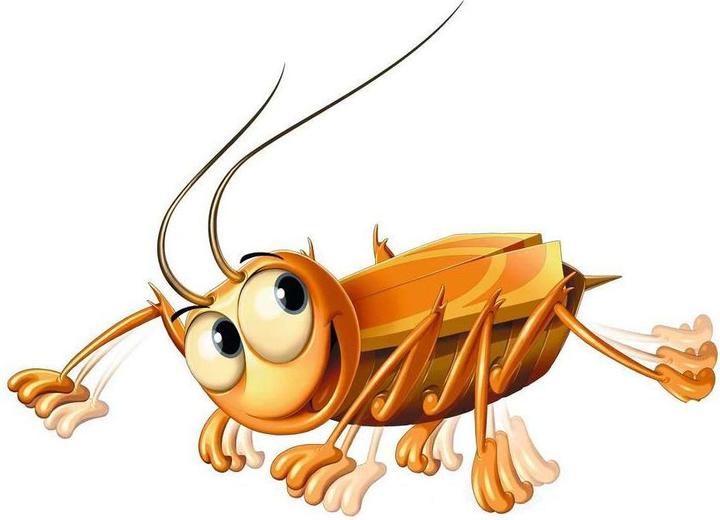Actual product image Ravensburger La Cucaracha (German, French, Italian)