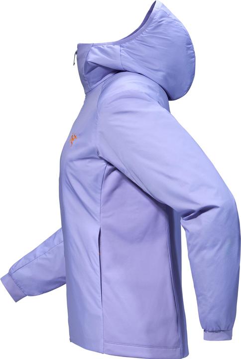 Image du produit Arc'teryx Atom Hoodie (M)