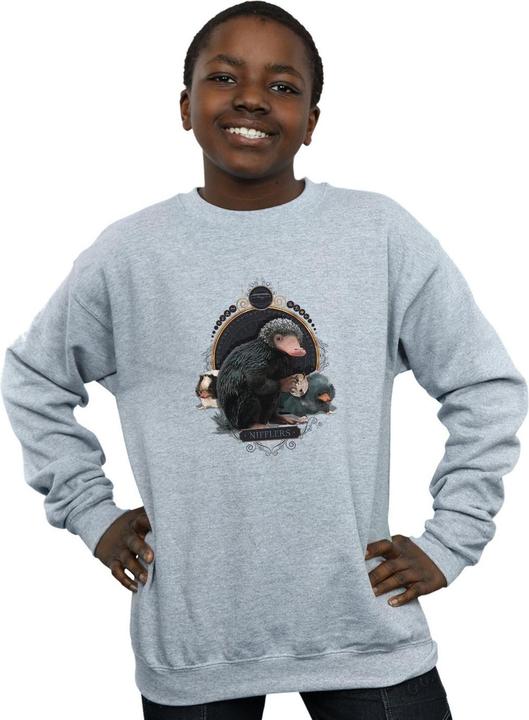 Produktbild Fantastic Beasts Baby Nifflers Sweatshirt Jungen (152, 158)