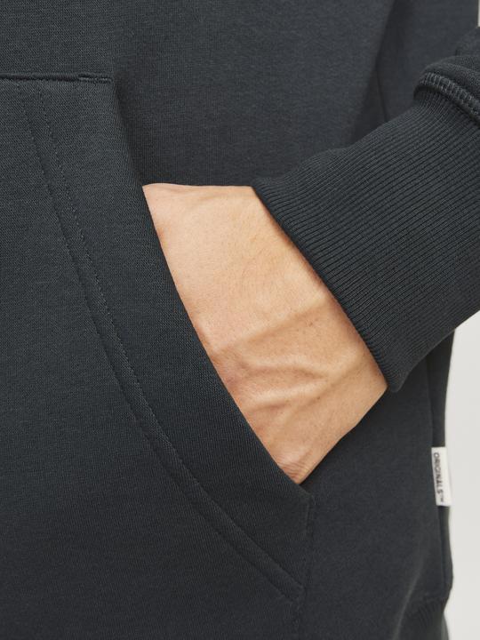 Actual product image Jack & Jones Jorfrederiksberg Box Sweat Hood Sn (S)