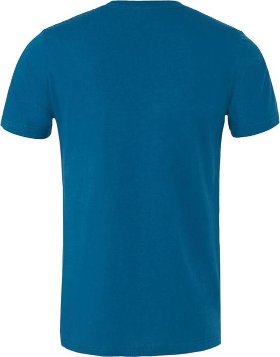 Actual product image Bella Canvas Adults Unisex Crew Neck T-Shirt (L)