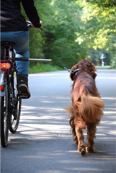 Produktbild Dobar Plus (One Size, Hund, Spazieren, Fahrrad)